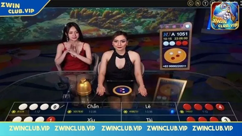 Tham gia Tài Xỉu livestream ZWINCLUB để nhận thưởng lớn